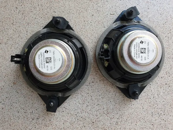 TESLA Model S bakre dörrhögtalare höger vänster OEM 1004833-01-A image 3