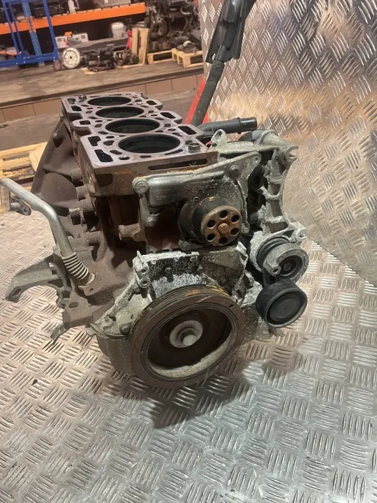 Bloque Motor OEM PU25789 para Renault Scenic III image 3