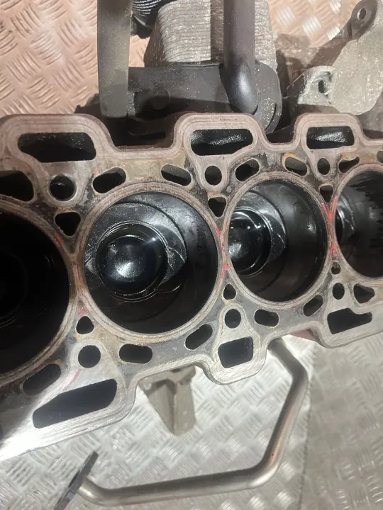 Bloque Motor OEM PU25789 para Renault Scenic III image 5