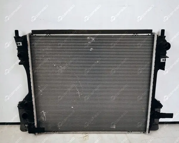 Radiador de agua JAGUAR XF250 XF 250 X250 image 2