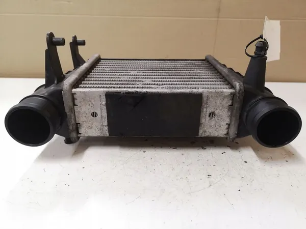 Radiador intercooler AUDI A4 (8EC, B7) 2.0L gasolina image 2