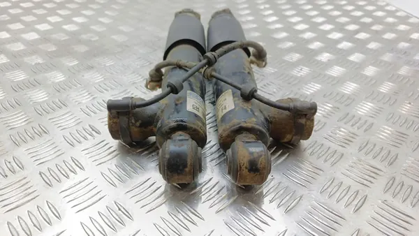 Ammortizzatore posteriore Opel Zafira B 2006 OEM 13198718 image 3