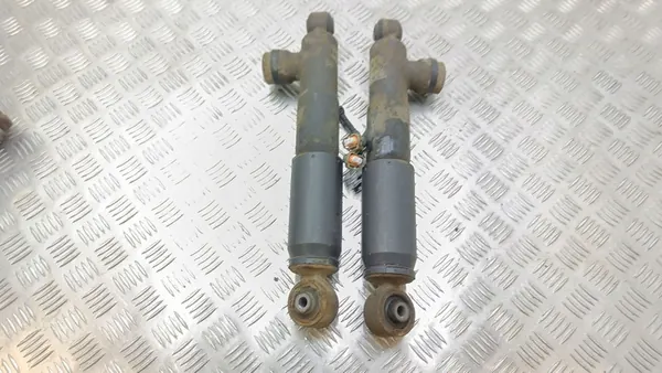 Ammortizzatore posteriore Opel Zafira B 2006 OEM 13198718 image 5