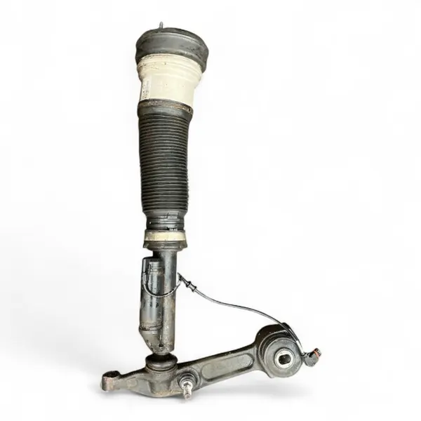 Mercedes W220 S-Klasse voor rechts luchtveer OEM C086053P7 image 2