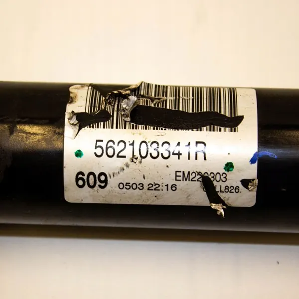 Ammortizzatore posteriore destro Renault Megane III 2017 OEM 562103341R image 5