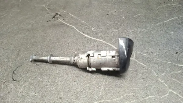 OEM wkladka zamka gauche avant Renault Scenic III image 2