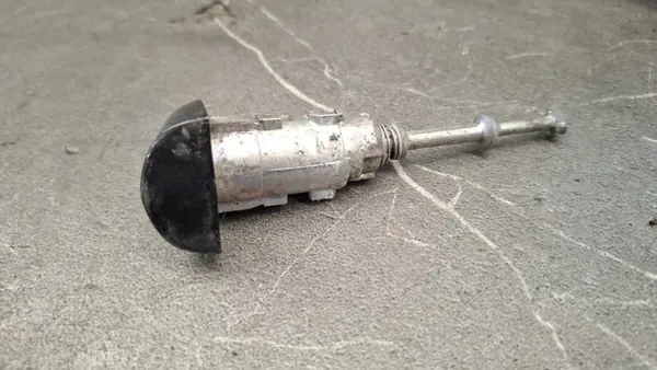 OEM wkladka zamka gauche avant Renault Scenic III image 3