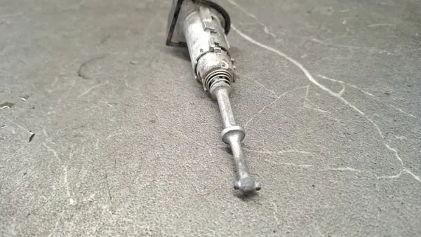 OEM wkladka zamka gauche avant Renault Scenic III image 4