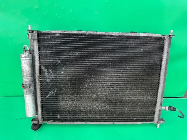 Radiador de agua Renault 8200134606 image 2