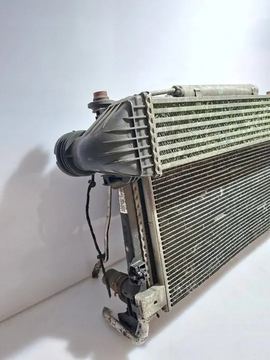 Mercedes-Benz B W245 2009 Radiator en Ventilator Set A1695002593 image 4