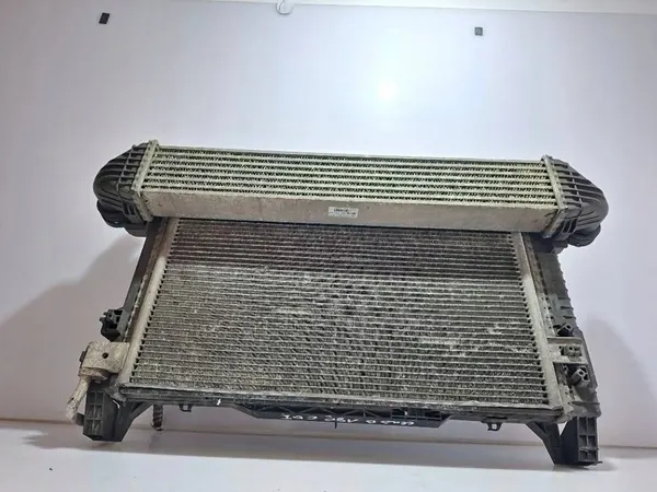 Mercedes-Benz B W245 2009 Radiator en Ventilator Set A1695002593 image 8