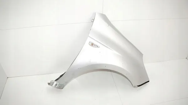 Aleta delantera derecha OEM 375485469 para Hyundai i20 08-12 image 3