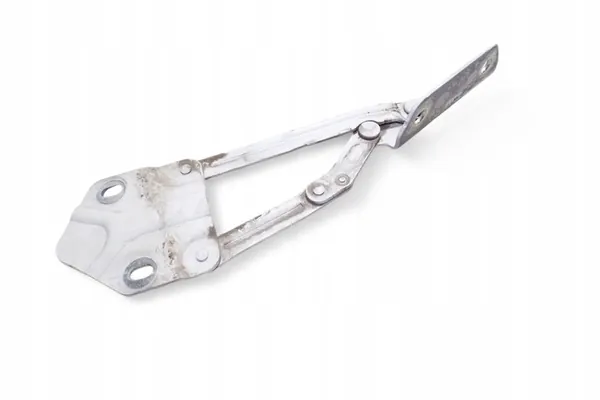 Bisagra de capó derecha VW CADDY III FURGON 1T0823302F image 2