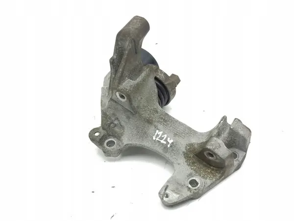 Renault OE Keilriemenspanner OEM 117104394R image 7