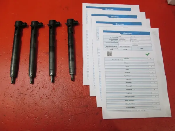 Opel Antara 2.2 CDTI Injektor Chevrolet Captiva 2.2 VCDI image 2