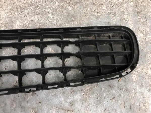 Griglia Paraurti Anteriore MINI R60 51119801918 image 4