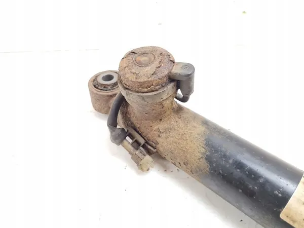 Ammortizzatore posteriore Opel Insignia A 2012 image 6