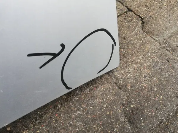 DACIA SANDERO I Motorhuv Ny Original 6001551793 image 7