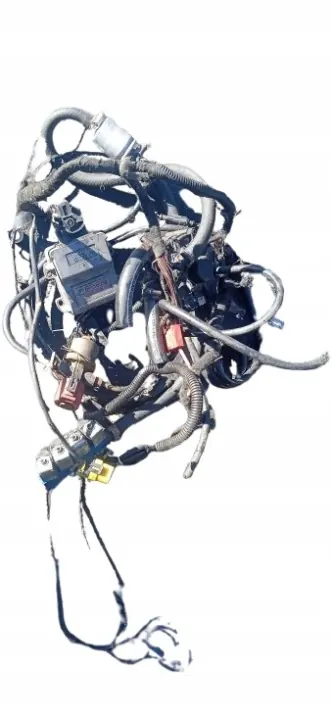Stag LPG-kit OEM 67R-014903 - Gebruikte Staat image 2