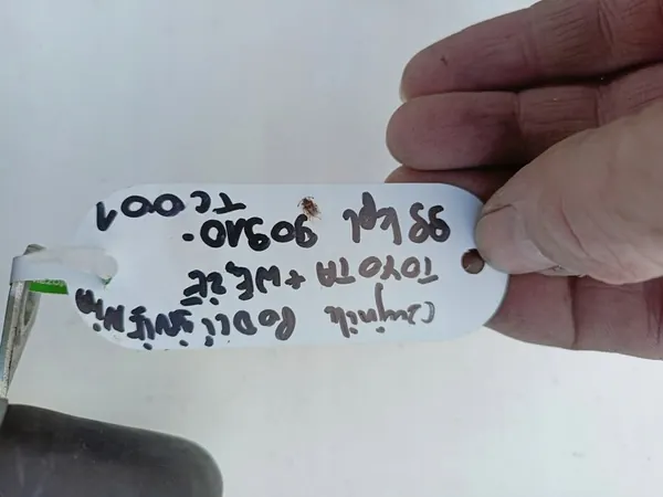 Sensor de Vácuo Mangueira Toyota 90910-TC001 image 3