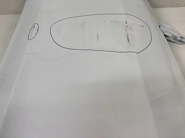 TESLA MODEL 3 III Främre Vänster Dörr 1081421-E0-C image 9