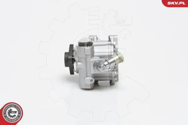 Servopump 10SKV014 ESEN SKV BMW 5 E39 image 5