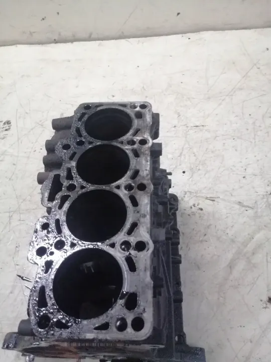 OEM 03L021CA Motorblok voor VW Passat B7 2.0 TDI image 4