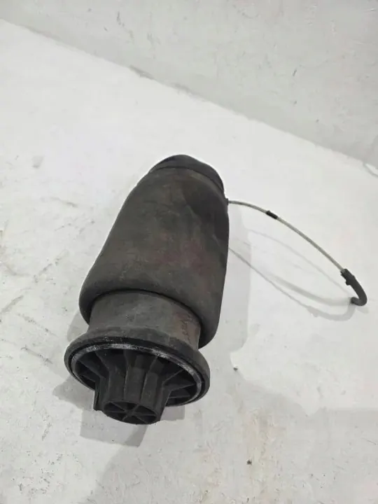 Hintere rechte Federungsdämpfung OEM R310716401 image 2
