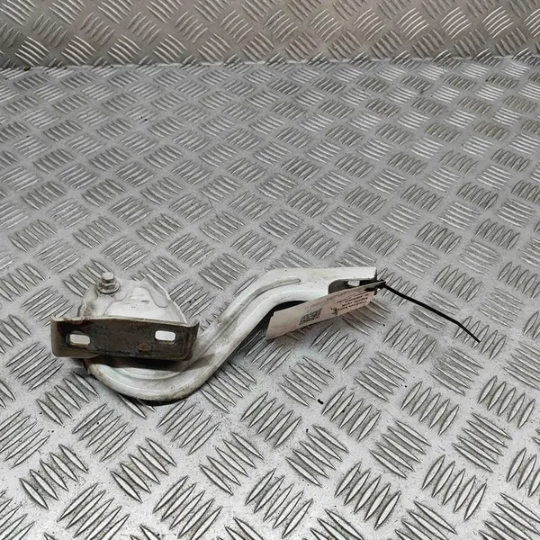 Bisagra Izquierda Capó Citroën Jumper 2.0L 2018 1612684780 image 4