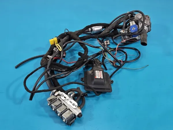 Installation GPL STAG 4 200 GOFAST OEM IMPRK1593435 image 2