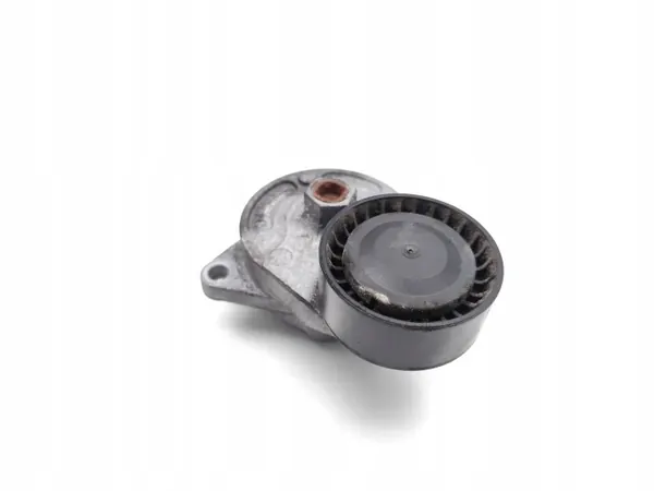 Tensor de correa multi-nervio Land Rover Range Rover Diesel image 4