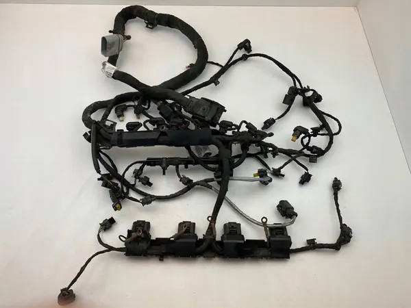 Moottorin johdotus Volkswagen Tiguan Allspace 2018 06L971627T image 3