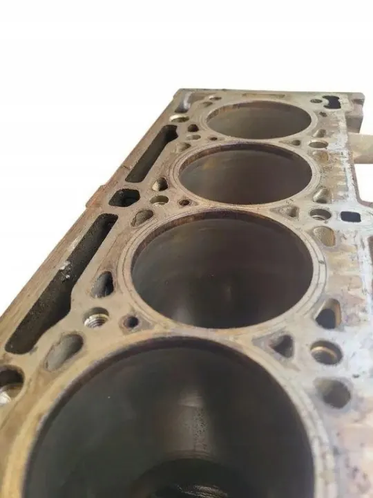 Bloque motor Dacia Duster 2012 OEM K4M696 Usado image 3