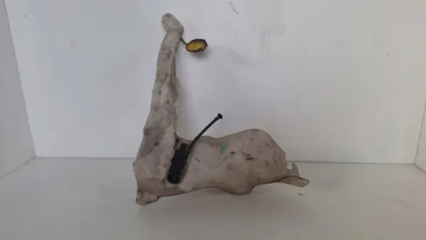 Wasmiddel reservoir Renault Master Movano 8200146985 image 5