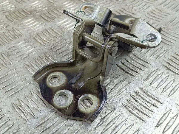 2023 MG ZS Vordertürscharniere image 2