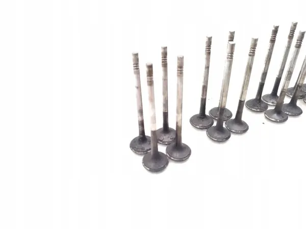 Audi A4 Diesel Ventil 2.0 TDI 125kW 16 PCS 2010-2012 image 10