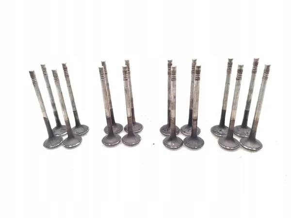Audi A4 Diesel Ventil 2.0 TDI 125kW 16 PCS 2010-2012 image 6