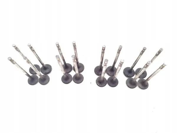 Audi A4 Diesel Ventil 2.0 TDI 125kW 16 PCS 2010-2012 image 7