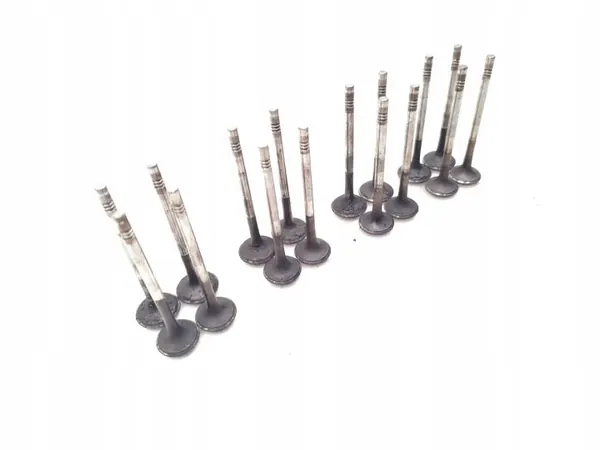 Audi A4 Diesel Ventil 2.0 TDI 125kW 16 PCS 2010-2012 image 9