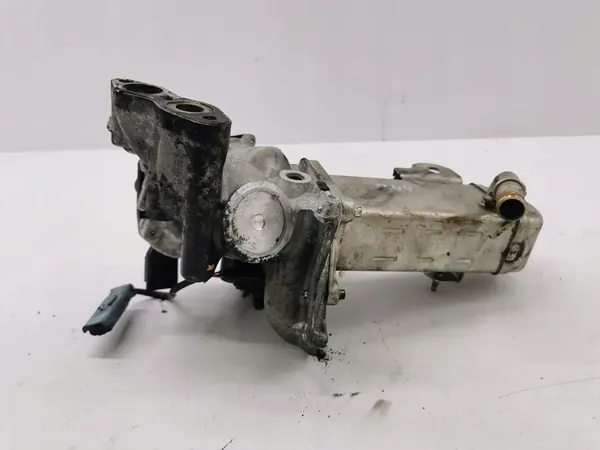 Citroen DS4 2012 Enfriador EGR image 7