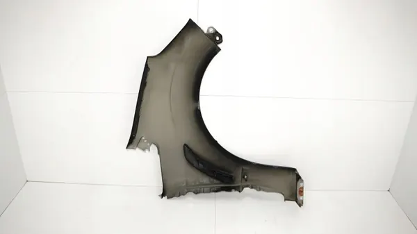 Para-lamas dianteiro esquerdo OEM 371117069 Ford S-Max MK1 image 9