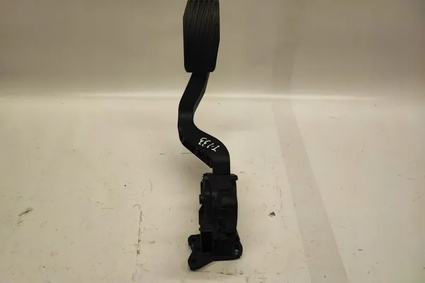 Gaspedal FIAT DOBLO MPV (263_) 1.6L Diesel image 4