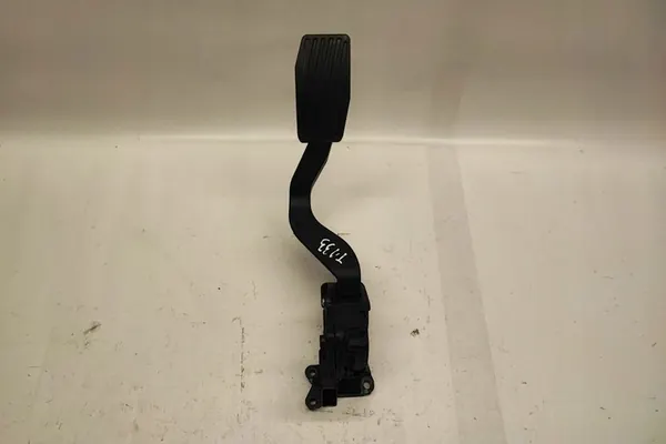 Gaspedal FIAT DOBLO MPV (263_) 1.6L Diesel image 6