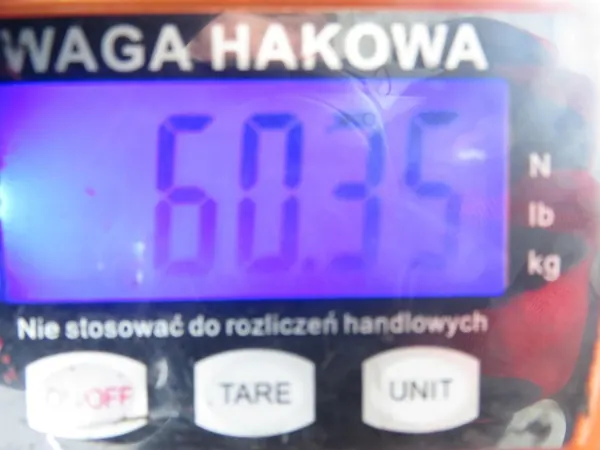 SANKI TYŁ SKODA OCTAVIA II OEM Bakre Släde image 9