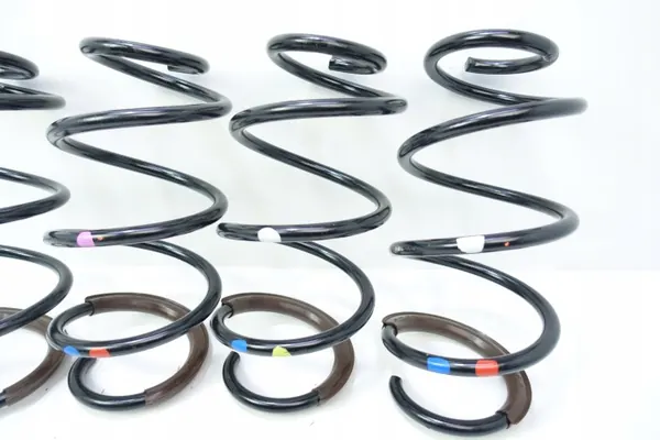 Muelles suspensión OEM 546302Y204 para Hyundai IX35 image 3