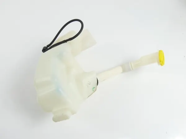 OEM 289100001N Tuulilasinpesunesteastia pumpulla image 4