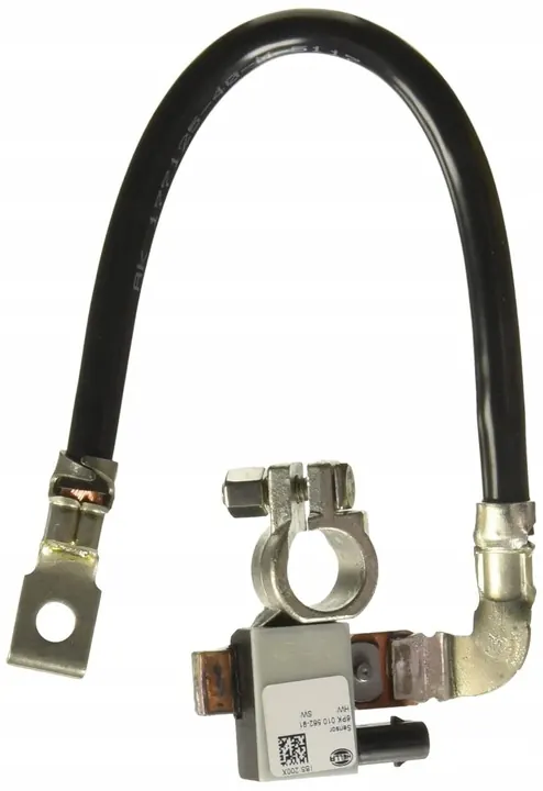 Sensor de gerenciamento de bateria Hella 6PK 010 562-911 image 9