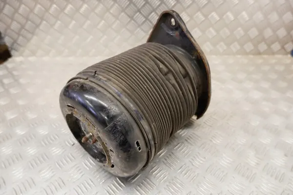 Airbag de Suspensão Esquerdo Lexus RX (_L1_) image 1