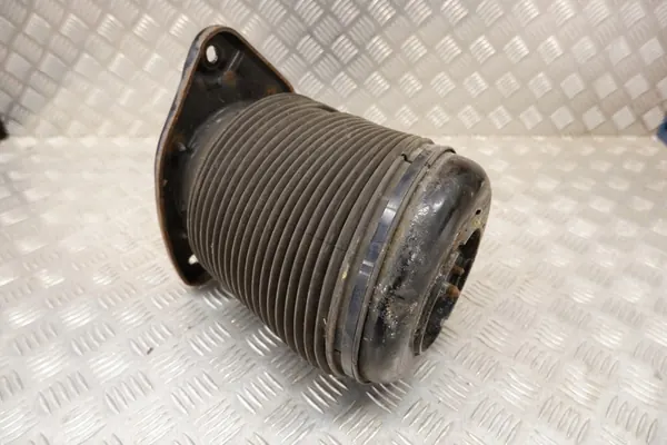 Airbag de Suspensão Esquerdo Lexus RX (_L1_) image 7