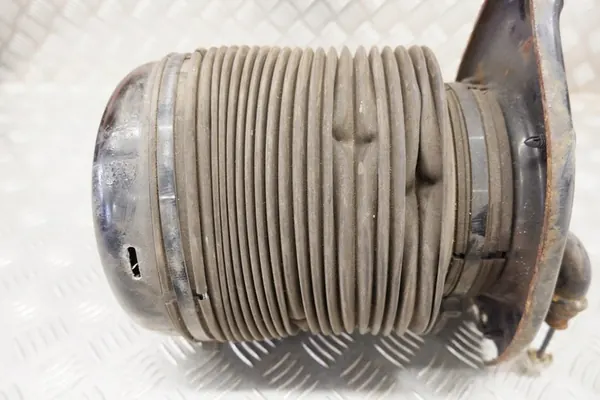 Airbag de Suspensão Esquerdo Lexus RX (_L1_) image 9